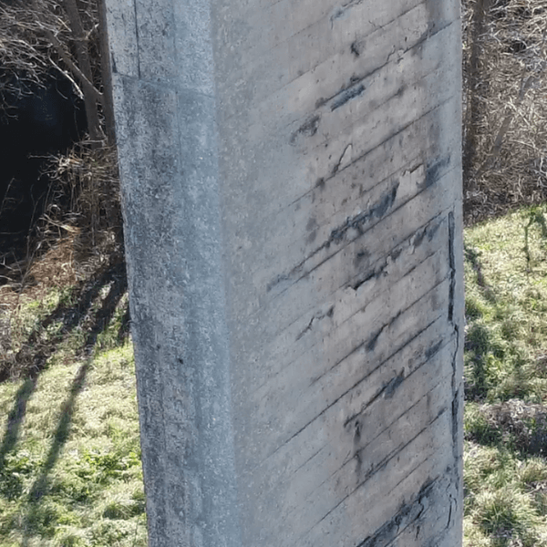 Detalle de patología en fuste de pila